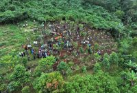 Pemkab Bogor Canangkan Penghijauan 220 Hektar, Gerakan Tanam Pohon Serentak di 40 Kecamatan.
