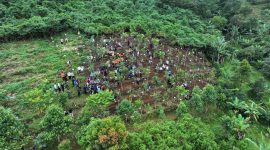 Pemkab Bogor Canangkan Penghijauan 220 Hektar, Gerakan Tanam Pohon Serentak di 40 Kecamatan.