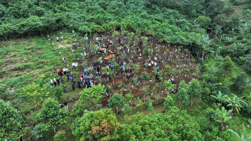Pemkab Bogor Canangkan Penghijauan 220 Hektar, Gerakan Tanam Pohon Serentak di 40 Kecamatan.