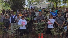 Forkopimcam Leuwiliang Wujudkan Satu Hektare Hutan Kota, Tanam 500 Pohon.