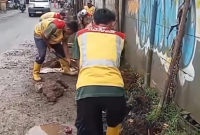 Bahu Jalan Cileungsi Kidul–Gandoang Dikupas, UPT Wilayah IX Cegah Genangan Sejak Dini.