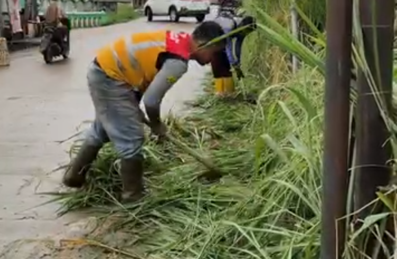 DPU Kabupaten Bogor Bersihkan Jalan Cibatok–Gunungsari, Jalur Cibungbulang Kini Lebih Rapi.