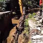 DLH Kabupaten Bogor Tertibkan Sampah Liar yang Menghambat Aliran Sungai Kalibaru.