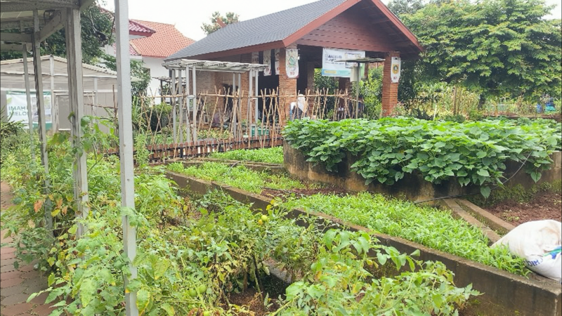 Pemkab Bogor Dorong Warga Tanam Pangan di Pekarangan untuk Perkuat Ketahanan Pangan.