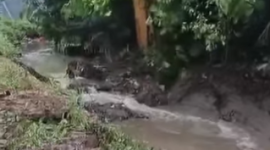 Pemkab Bogor Percepat Penanganan Banjir, Kali Rengas Dinormalisasi.