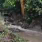 Pemkab Bogor Percepat Penanganan Banjir, Kali Rengas Dinormalisasi.