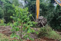 Instruksi Bupati Bogor, DPU Kebut Penanganan Banjir di BTB Kemang.