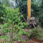 Instruksi Bupati Bogor, DPU Kebut Penanganan Banjir di BTB Kemang.