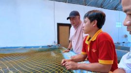 Pemkab Bogor Revitalisasi Lima Balai Benih Ikan, Tingkatkan Produksi Bibit Unggul untuk Masyarakat.