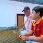 Pemkab Bogor Revitalisasi Lima Balai Benih Ikan, Tingkatkan Produksi Bibit Unggul untuk Masyarakat.