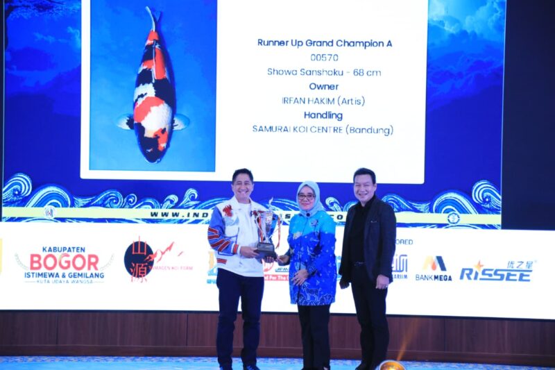 Ribuan Koi Ramaikan Bogor Koi Show 2026, Bukti Kebangkitan Industri Ikan Hias Nasional.