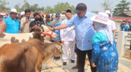 Fasilitas Hotel Hewan Mudahkan Peternak di Pasar Hewan Jonggol.